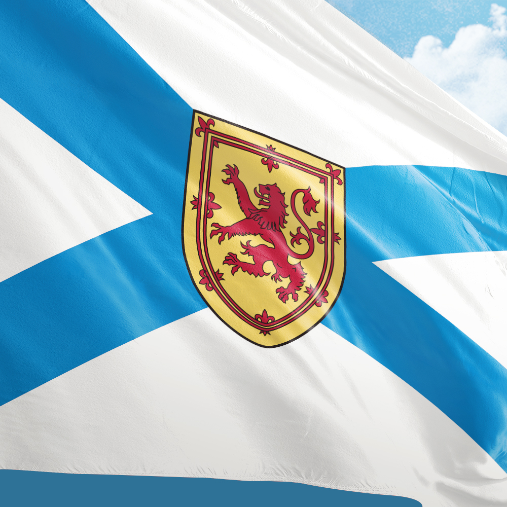 Canada Flag of Nova Scotia 3ft - огляд і ціна Nova Decor & Lighting Vase